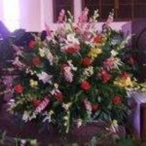 Meet your Posher, Carmen